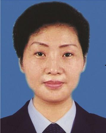 成英资料,多元视角下的文化交流与融合