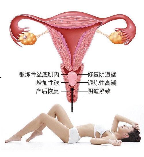 女性下面图片,图片中的优雅与力量